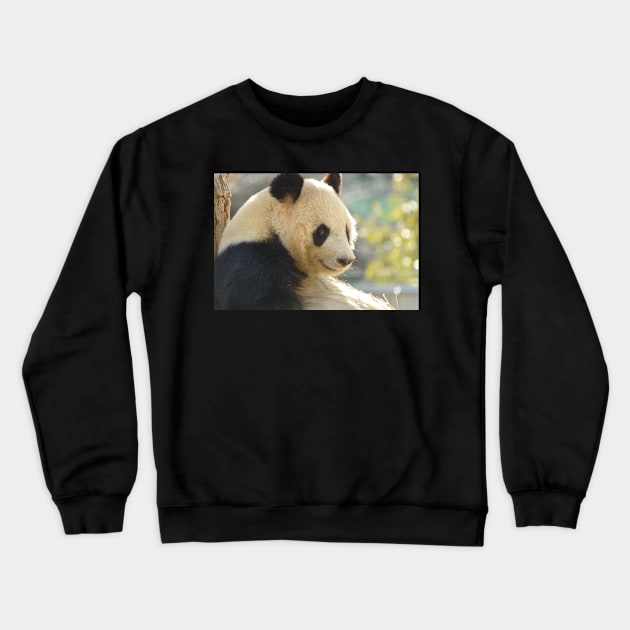 Giant Panda Crewneck Sweatshirt by kawaii_shop